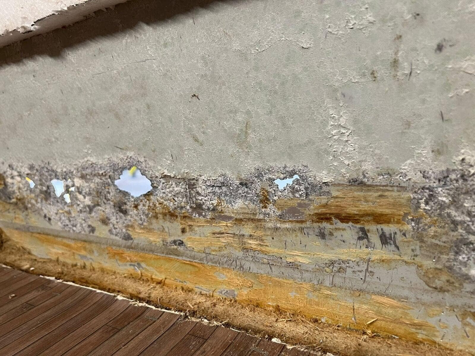 Motorhome Damp Repair Services